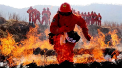 119�����տ옷��